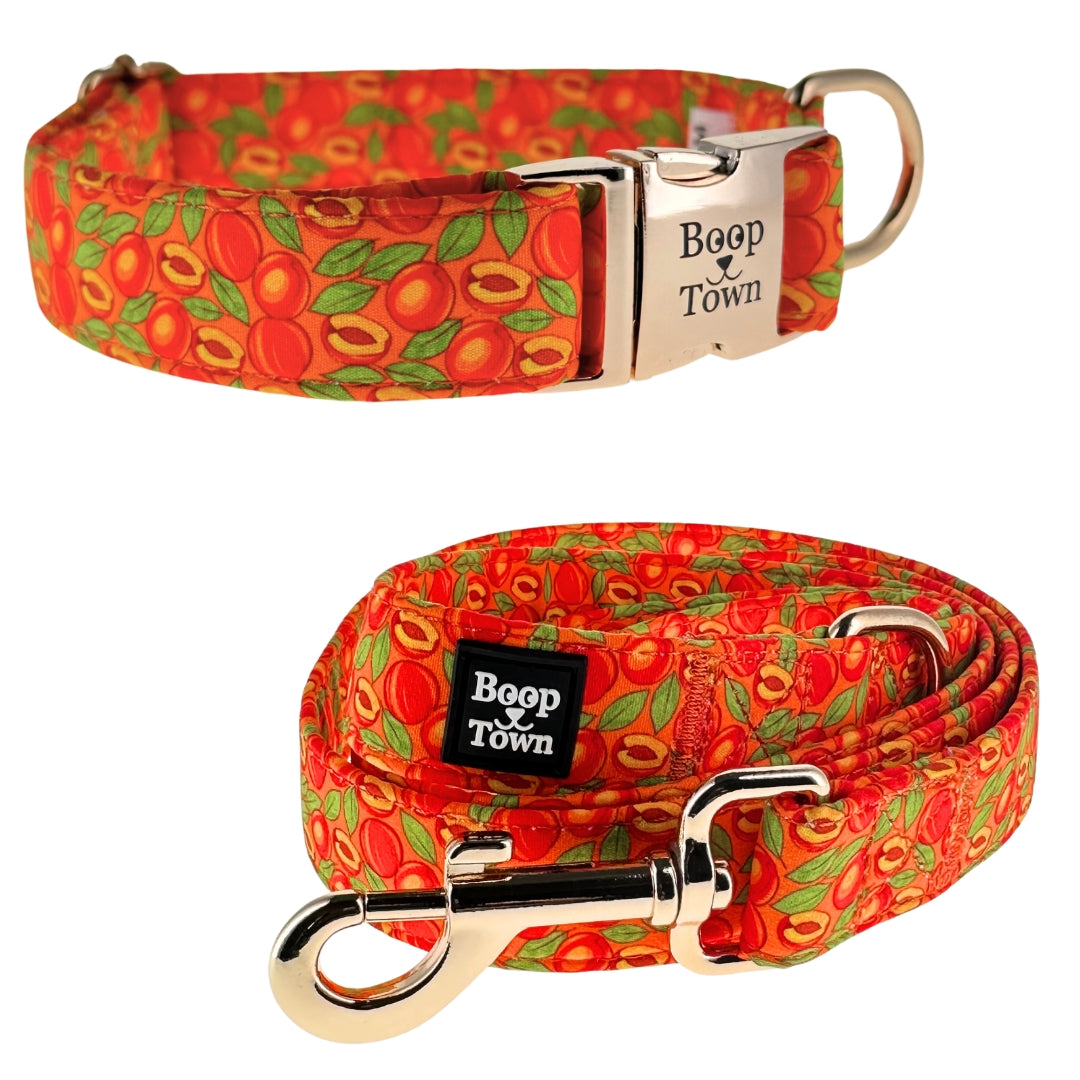 Boop Town Matching Dog Collar and Leash Set - Soft Cotton & Heavy Duty Nylon Core