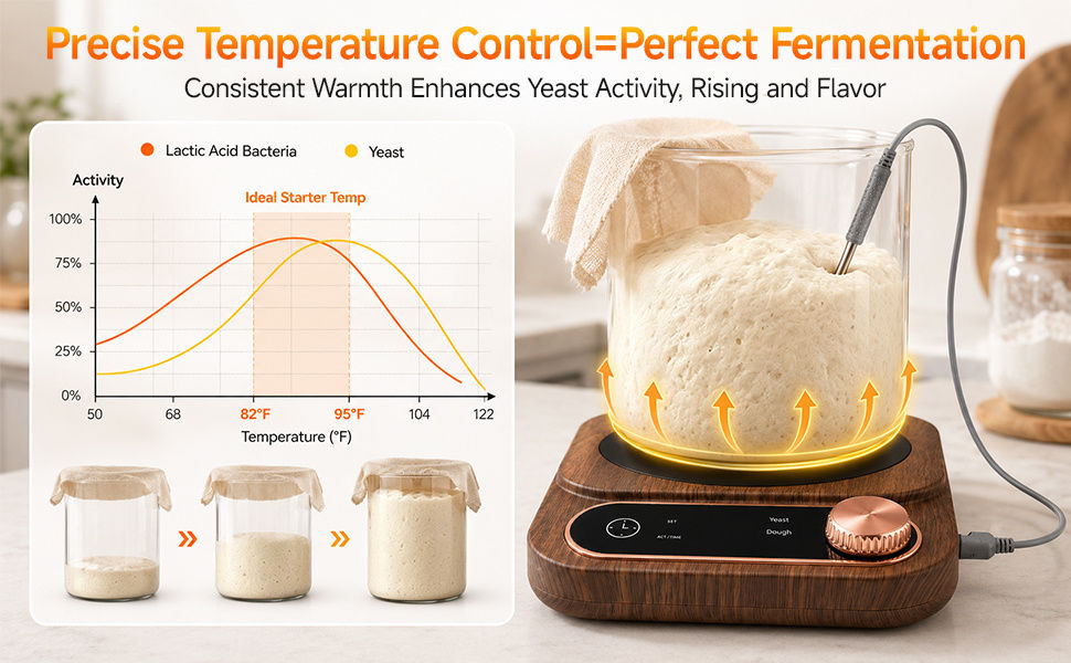 2-in-1 Sourdough Warmer with Temperature Probe